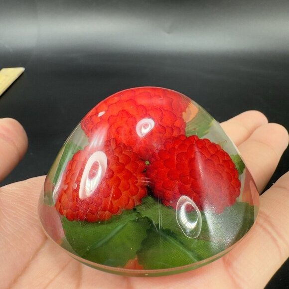 Dome Shape Acrylic Resin Lucite Round Paperweight Red Raspberry Leaves Vintage - Picture 8 of 13